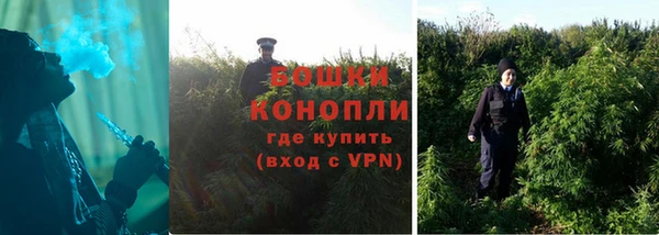 марихуана Белокуриха